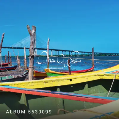 Album 5530099 Album 5530099 - Mike O'Pierre Photographe